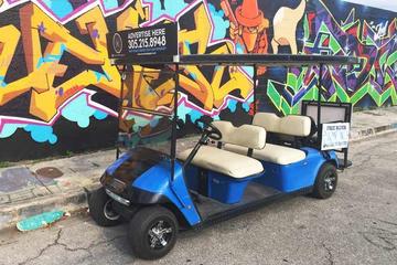 Wynwood Graffiti Golf Cart Tour