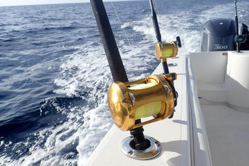 Private Fishing and Snorkeling Adventure in Roatan