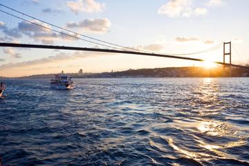 Afternoon Bosphorus Cruise Along the Shore From Istanbul