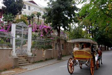 Full-Day Prince Islands Tour Including Lunch From Istanbul