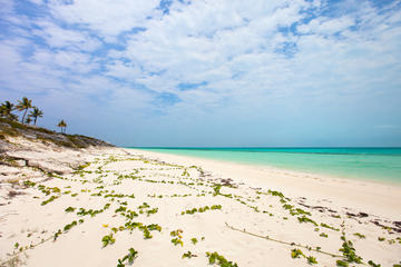 Evening Tour of Providenciales