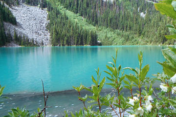 Whistler Full-Day Backcountry Hike