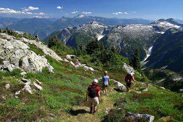 Whistler Small Group Wilderness Half-Day Hike
