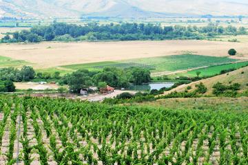 One-Day Wine Tour from Plovdiv