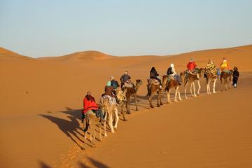 2-Day Zagora Desert Tour from Marrakech