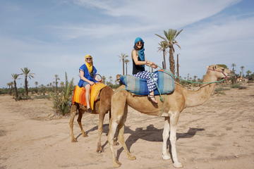 Marrakech Camel Ride