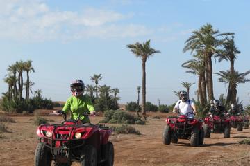 Marrakech Palmeraie Half-Day Quad Bike Experience