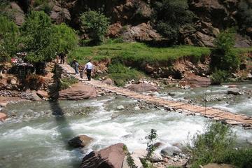 Ourika Valley Day Trip from Marrakech