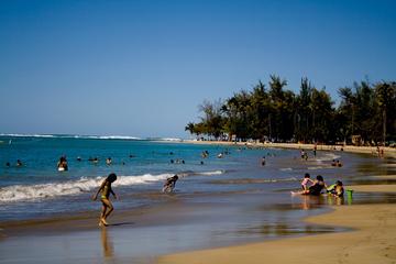 Full-Day Yunque Rainforest and Luquillo Beach Adventure in San Juan