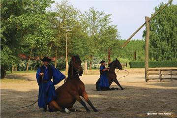 Budapest Puszta Day Trip with Kecskemet, Horse Show, and Lunch
