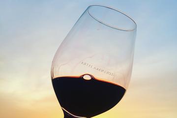 Wine Shuttle Tour from Koper and Portoroz