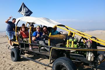 Ballestas Islands, Paracas Reserve, and Huacachina in One Day from Lima