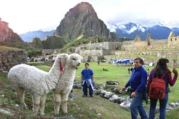 15-Day Peru Tour from Lima Including Paracas, Arequipa and Puno