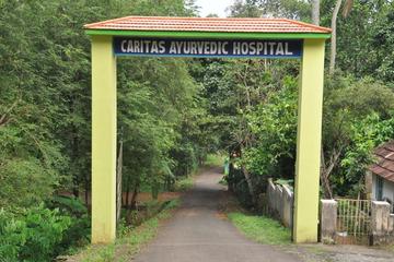 8-15 Days Holistic Ayurvedic Treatment in Kottayam