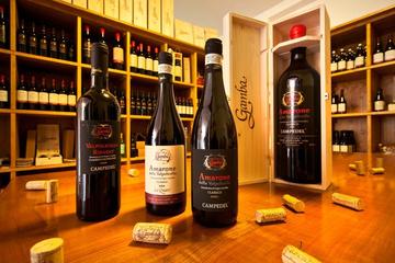 Amarone Wine Tasting Tour with 3 Wines and Snacks