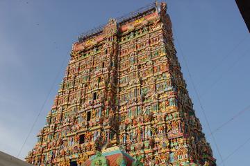 Private 11-Day South India Tour: Bangalore Mysore Cochin Alleppey Madurai