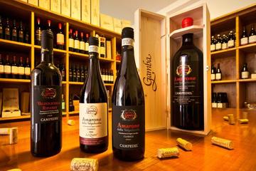 Private Amarone Wine Tasting Tour from Bologna by Train