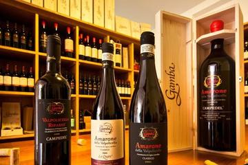 Private Amarone Wine Tasting Tour from Milan by Car