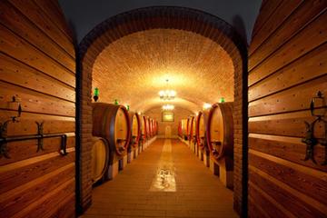 Private Amarone Wine Tasting Tour from Milan by Train