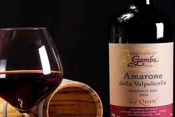 Private Amarone Wine Tasting Tour from Venice