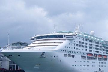 Private Amsterdam Cruise Port Transfer to Hotel or Airport