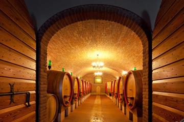 Private Full Day Amarone wine tasting and Garda lake from Venice