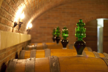 Private Full Day Amarone wine tasting and Garda lake visit