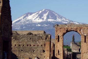 Private Full-Day Tour of Naples and Pompei from Rome