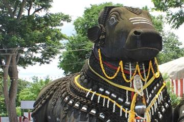 Private Half-Day Bangalore Tour