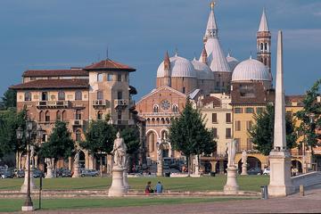 Private Half-Day Tour of Padua from Venice