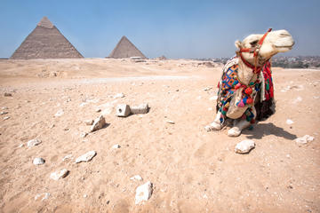 Camel or Horse Sunset Safari from Giza with Dinner
