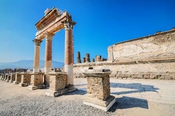 Daily Pompeii Group Tour with Archaeological Guide