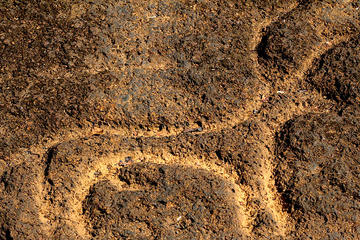 Archeologist led tour of ancient rock art, a laterite cave and a bubble lake- Day tour in Goa