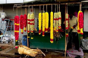 Culture tour of Mylapore as a private day trip from Chennai