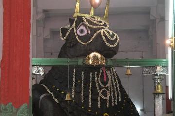 Sacred Bull walking tour