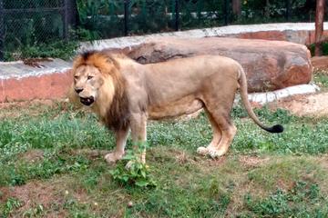 Wild life trail in Chennai