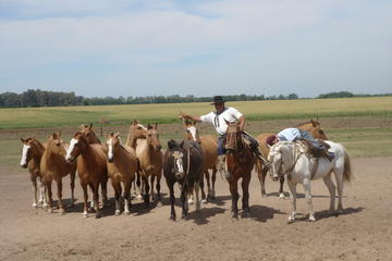 Ranch trip with private driver