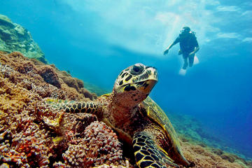 PADI Discover Scuba Diving at Gili Air