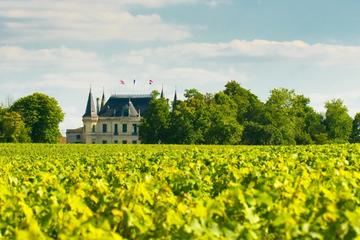 Burgundy Day Trip from Paris with Wine Tasting, Lunch, and Visit to Auxerre