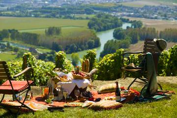 Guided Visit of Palais du Tau, Reims Cathedral & Champagne Tasting in a Vinyard