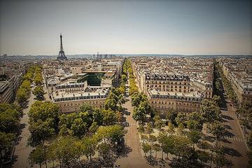 Paris City Tour: Segway, Eiffel Tower, Seine River Cruise, and Lunch in the Museum of Wine