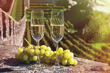 Reims and Champagne-Tasting Day Trip from Paris