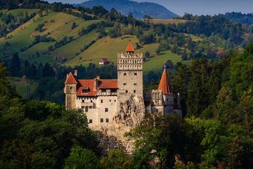 Day Trip to Dracula's Castle