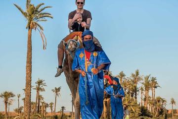 Marrakech Palmeraie Palm Groves and Desert Camel Ride