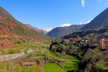 Ourika Valley Private Day Tour including Lunch from Marrakech