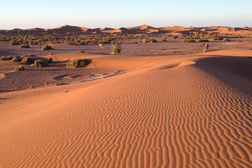 Private 6 Days Imperial Cities And Sahara Desert through the Atlas Mountains from Tangier