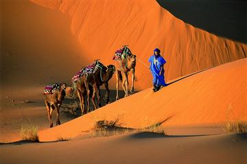 1 Night Camel Trek Bivouac From Merzouga