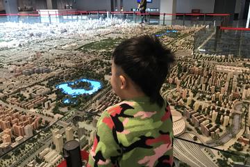 Private Beijing Museum Tour by Public Transportation with Lunch