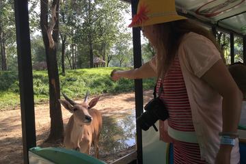 Private Full-Day Beijing Wildlife Park Tour