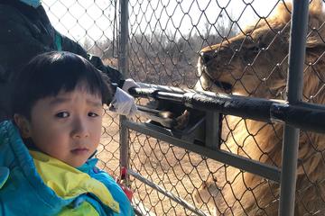 Private Full-Day Beijing Wildlife Park Tour